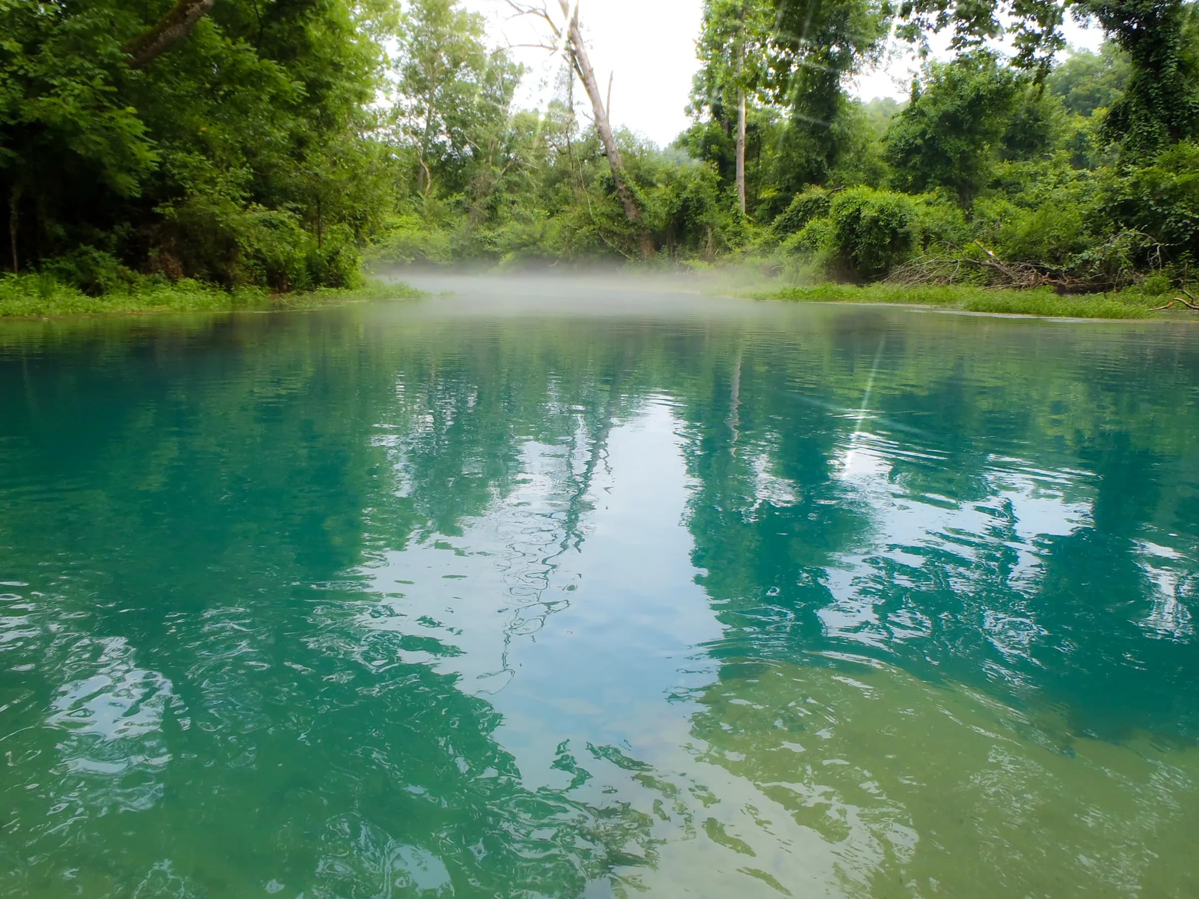 Mist on the clear green Eleven Point River
